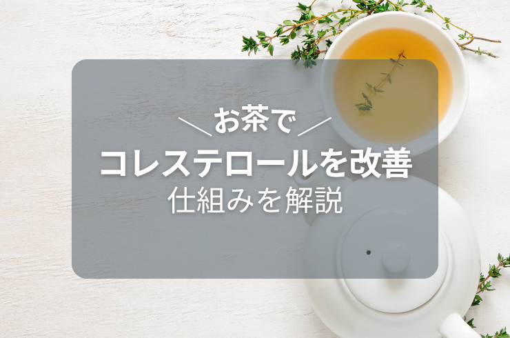 お茶の成分「カテキン」でコレステロールを改善｜成分や仕組みとは？