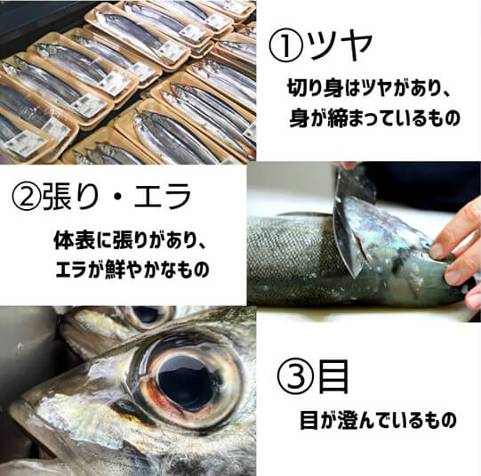 魚購入時の鮮度確認方法