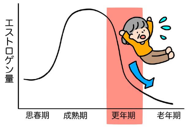中高年女性のコレステロール値とエストロゲンの関係