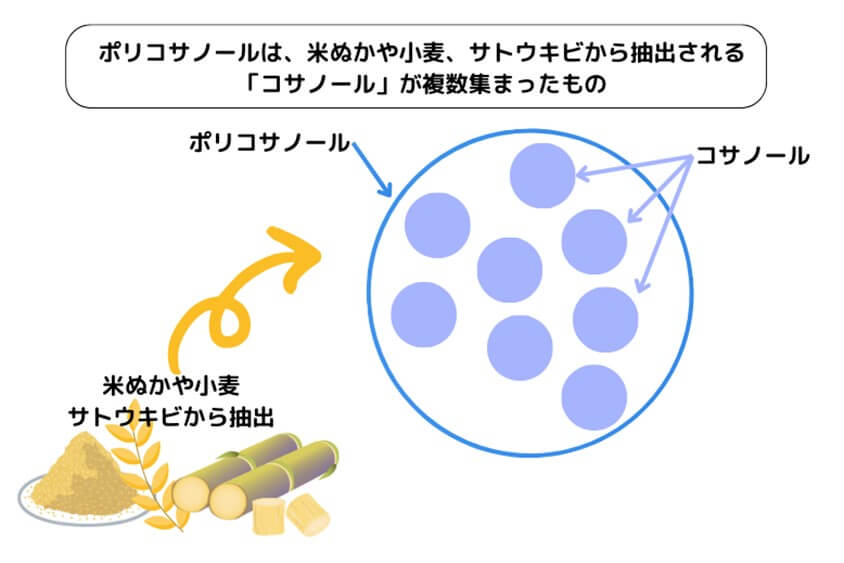 ポリコサノールとは?説明