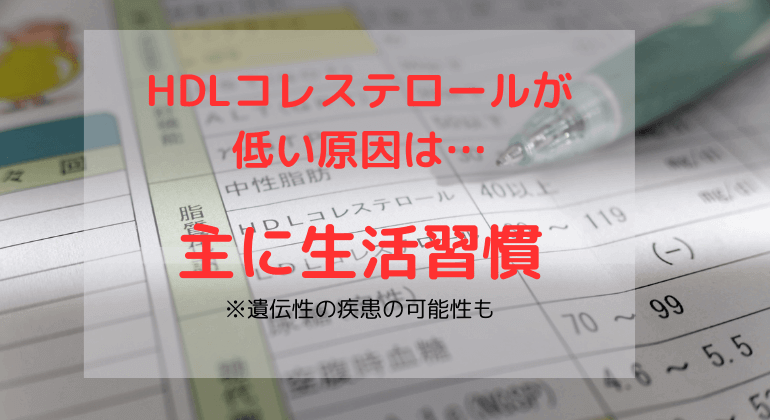 HDLコレステロールが低い原因は生活習慣