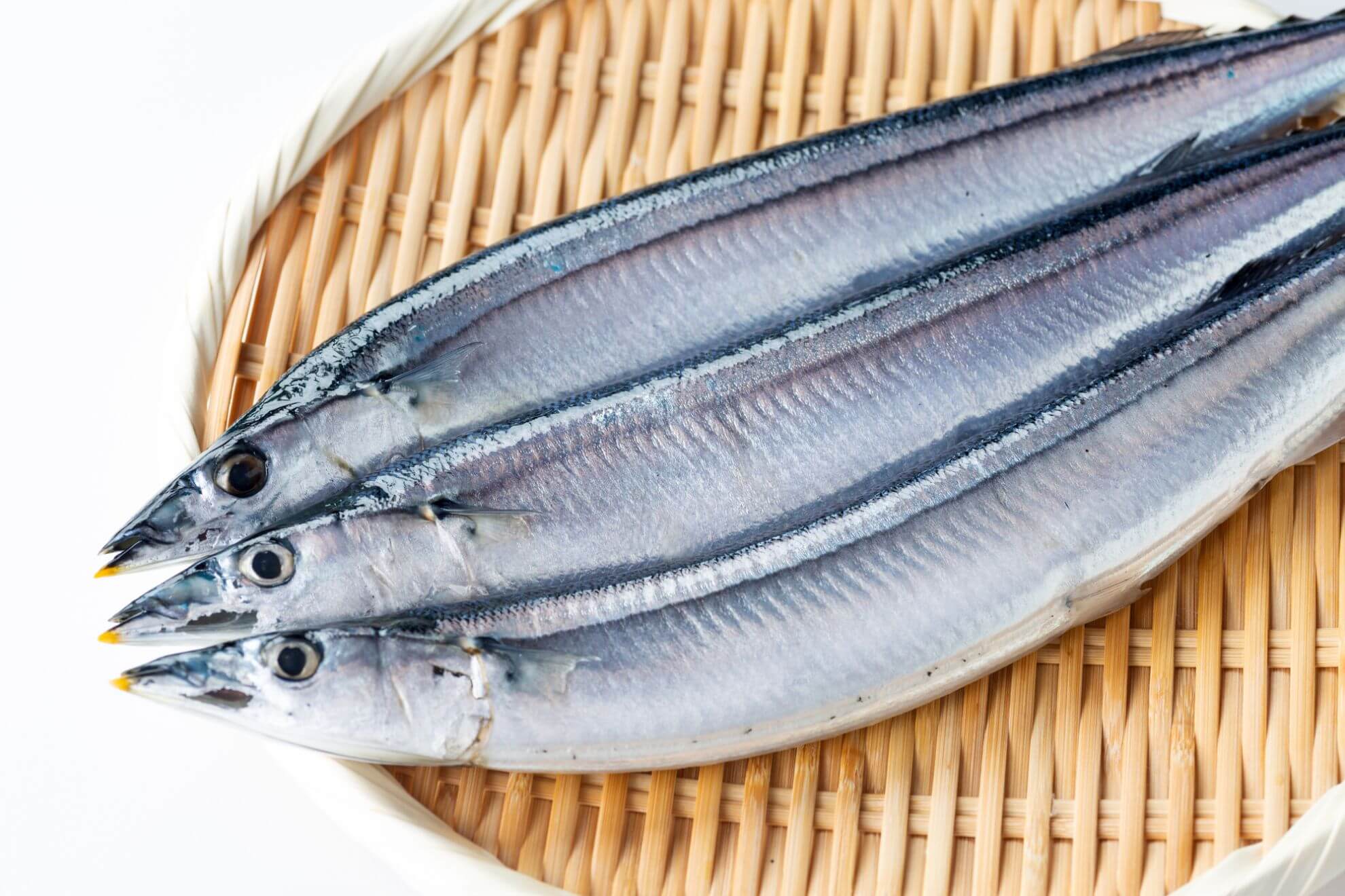 魚