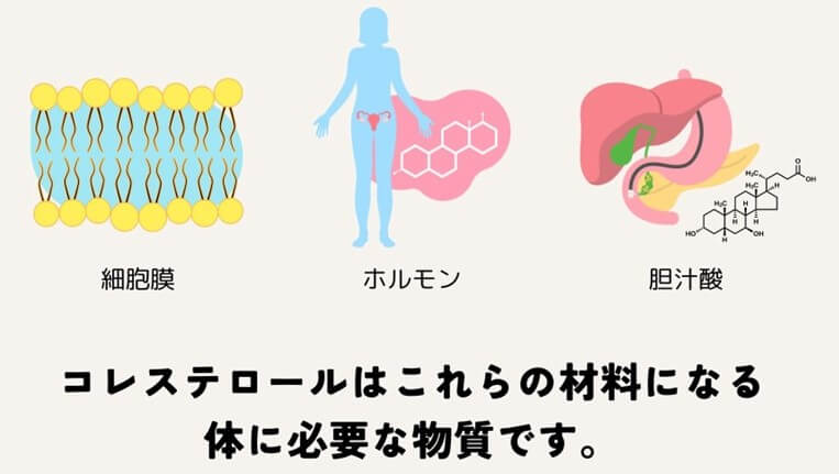 コレステロールは、体に必要な物質です。