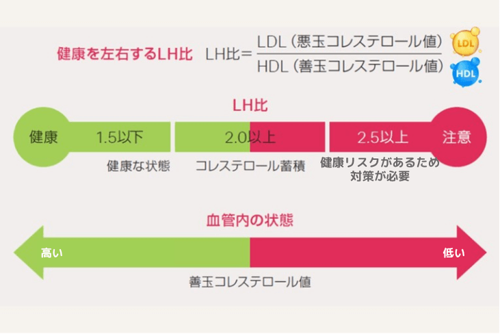 LH比(LDL÷HDL)