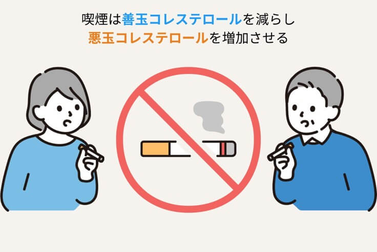 喫煙は善玉(HDL)コレステロールを減らす