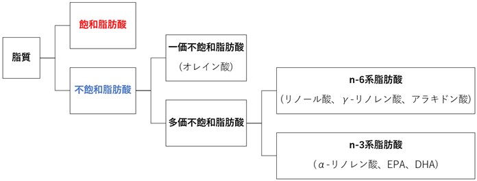 脂質の種類