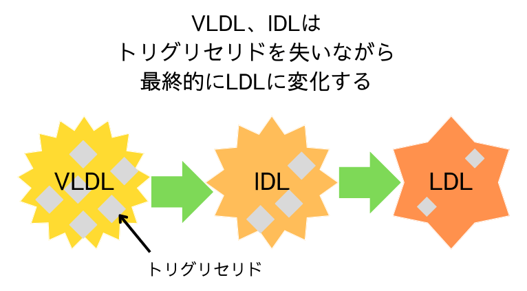 non-HDLコレステロールの内訳