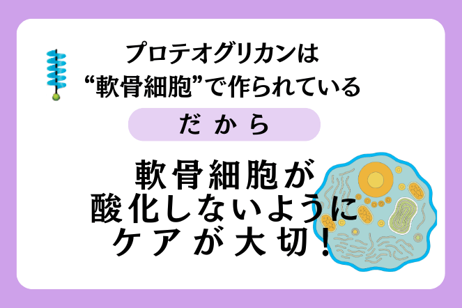軟骨細胞酸化で起こること