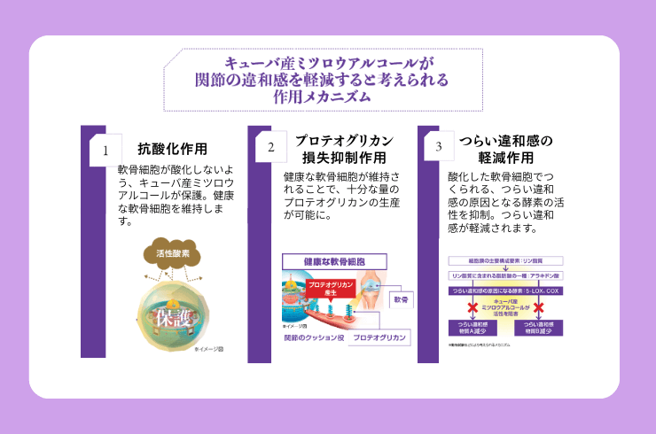 キューバ産ミツロウアルコールの作用機序