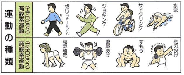 有酸素運動と無酸素運動の違い