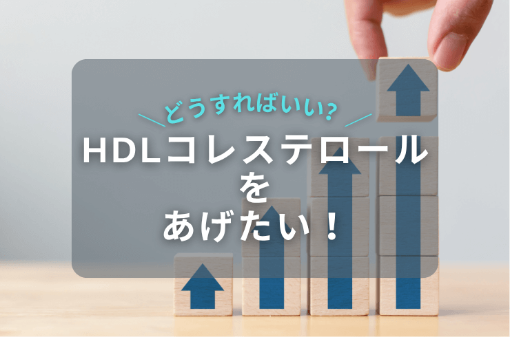 HDLコレステロールを増やすには？健康的に上げる方法と実践的アドバイス