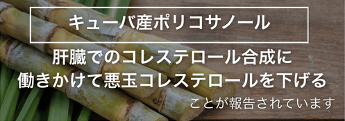 キューバ産ポリコサノールは肝臓でのコレステロール合成に作用してLDLを下げる
