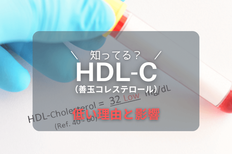 HDLコレステロールが低い３つの原因とその影響・改善方法