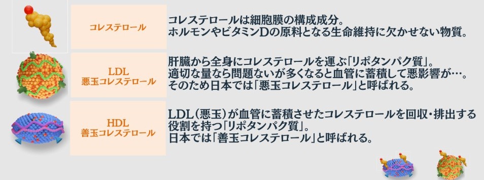 LDLとHDLとは