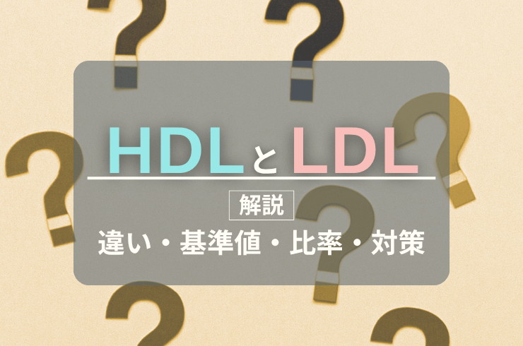 HDLとLDLの違いは？理想の比率は？どれくらいからやばい？改善策も