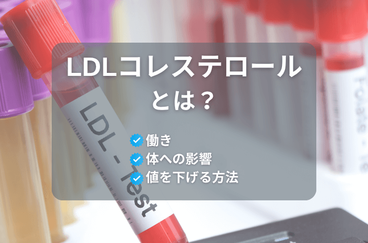 LDLコレステロールとは？働きや体への影響と値を下げる方法を紹介　detail/0003