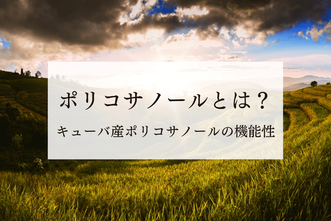 ポリコサノールとは？成分の概要や悪玉（LDL）コレステロールが増えすぎると良くない理由について