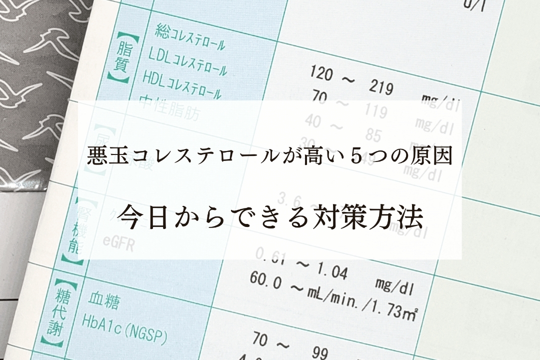 悪玉コレステロールが高い５つの原因｜今日からできる対策方法も紹介